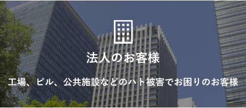 法人のお客様　工場、ビル、公共施設などのハト被害でお困りのお客様