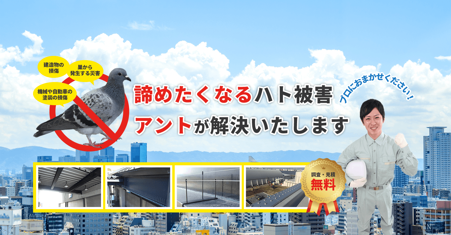 建造物の損傷・巣から発生する災害・機械や自動車の塗装の損傷　諦めたくなるハト被害アントが解決いたします！　調査・見積無料！　プロにおまかせください！