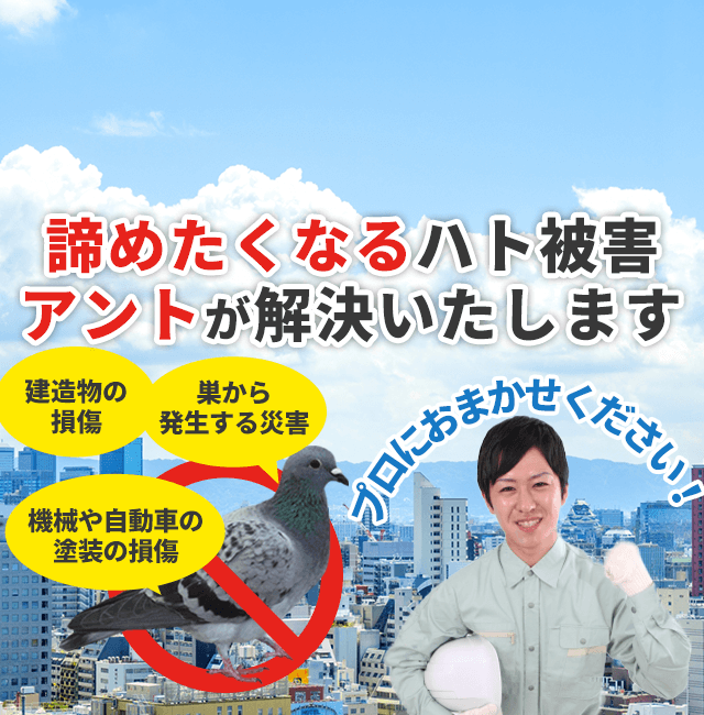 建造物の損傷・巣から発生する災害・機械や自動車の塗装の損傷　諦めたくなるハト被害アントが解決いたします！　調査・見積無料！　プロにおまかせください！